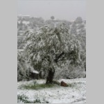 ... nur eben ... ... nur eben ...